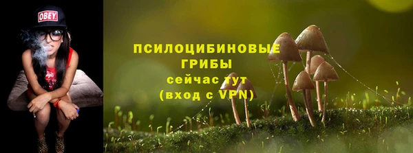 гашик Володарск