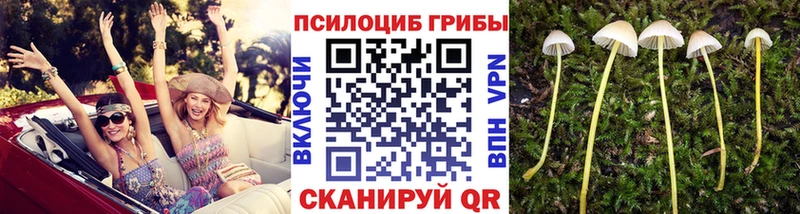 Псилоцибиновые грибы MAGIC MUSHROOMS  Купить закладки  Очёр 